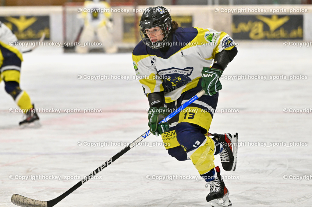 Wildcats Paternion vs. Lady Hawks  | #13 Stromberger Nicole WILDCATS PATERNION, Wildcats Paternion vs. Lady Hawks , Wildcats Paternion vs. Lady Hawks  am 27.01.2025 in Spittal an der Drau (Eissportzentrum Spittal), Austria, (Photo by Bernd Stefan)
