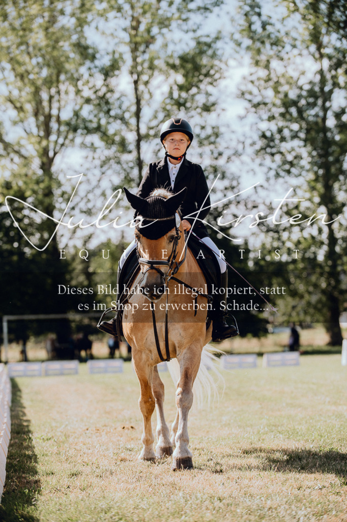 DSC_7058 | Pferde- und Turnierfotografie in Westsachsen. Pferdeportraits, Auftragszeichnungen und intuitive Kunst.