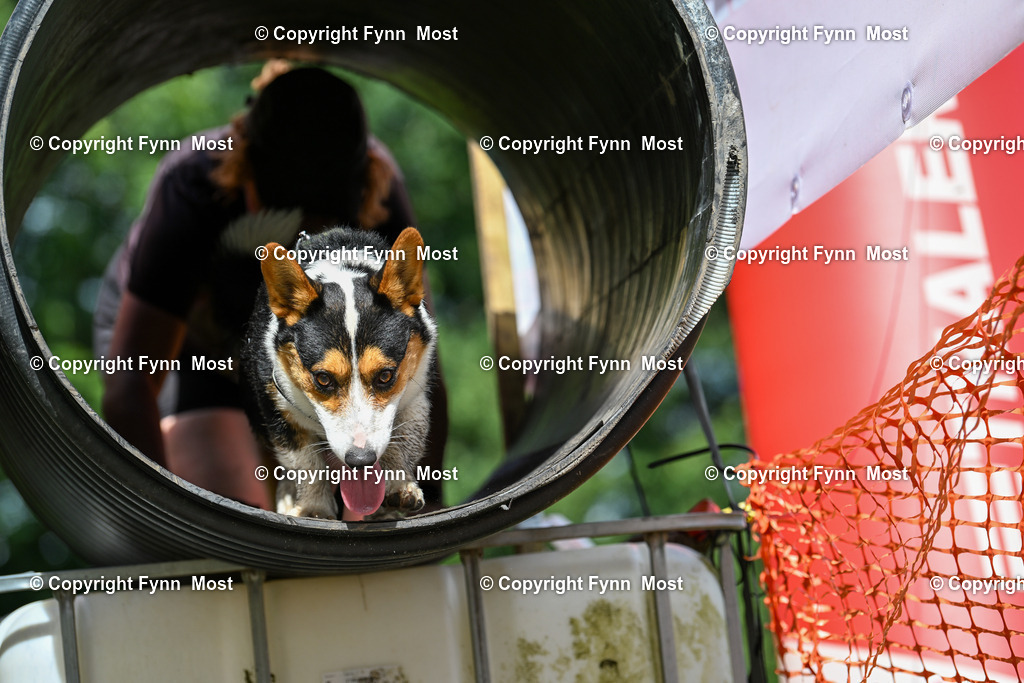 DSC_4348 | Hallo und herzlich Willkommen auf meiner Shop-Seite Fynn Most.

Ich wünsche Dir viel Spaß beim stöbern durch die Bilder, wenn Du Fragen hast oder Bilder vermisst, kannst du mir gerne eine Nachricht schreiben. - Realisiert mit Pictrs.com