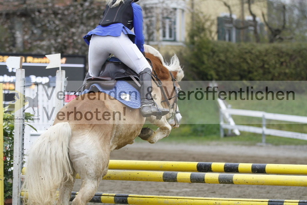 _MG_4564 | equestrian-live-com