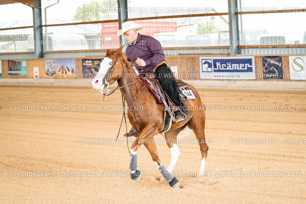 DSC01623 | Pferdegrafie