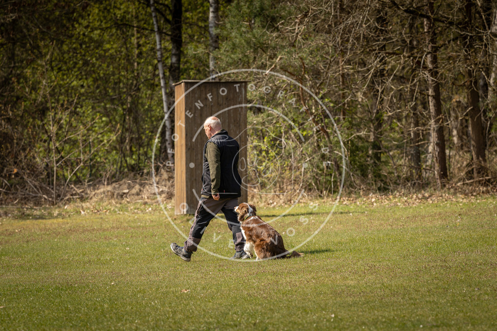 Pfotenfotografie_DV3A1343 | Hundefotografie, Tierfotograf, Pfotenfotografie, Fotoshooting Hund, Hunde Portrait, Hundesport, Hundeportraits, Heideshooting, Hunde, Sportfotograf, Hundefotograf, Turnierhundsport, THS,  - Realisiert mit Pictrs.com