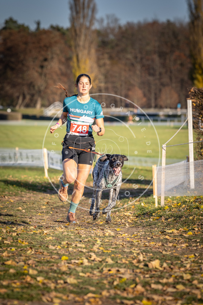 CaniXpix_DV3A2357 | Hundefotografie, Tierfotograf, Pfotenfotografie, Fotoshooting Hund, Hunde Portrait, Hundesport, Hundeportraits, Heideshooting, Hunde, Sportfotograf, Hundefotograf, Turnierhundsport, THS,  - Realisiert mit Pictrs.com