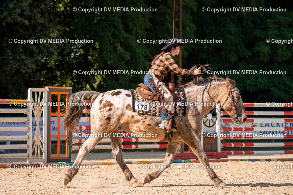 ZH100842 | dv-media-shop - Realisiert mit Pictrs.com