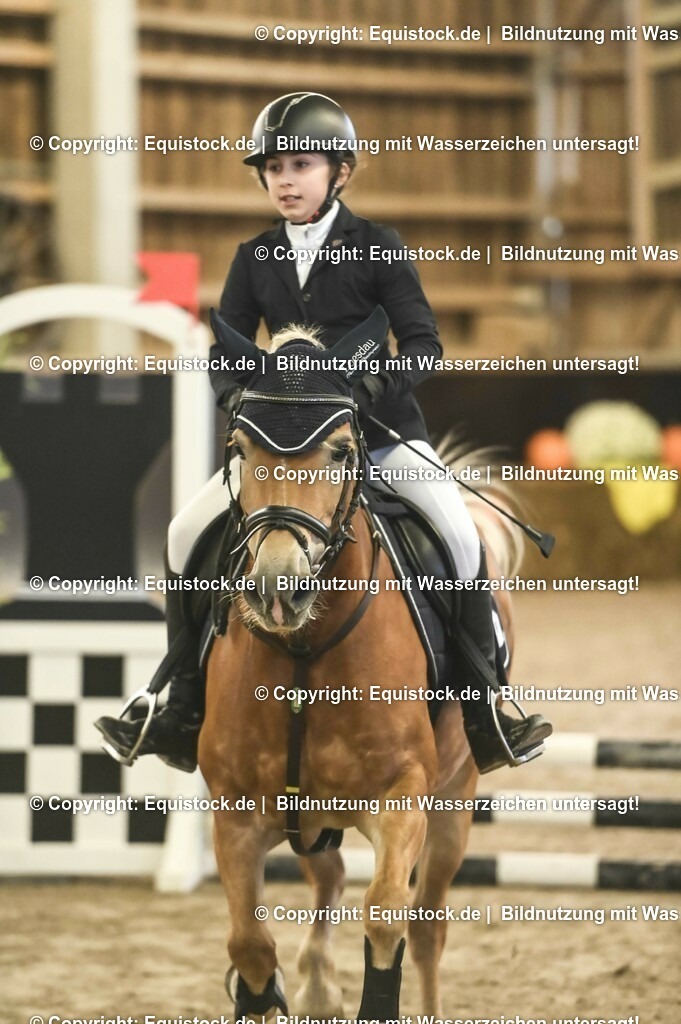 20231029_07_Stilspring-WB-50cm_0067 | Foto: Thomas Hartig