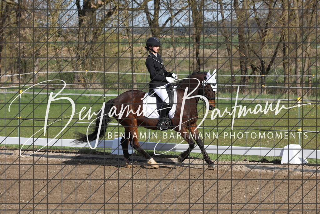 AZ2A2678 | Benjamin Bartmann Photomoments