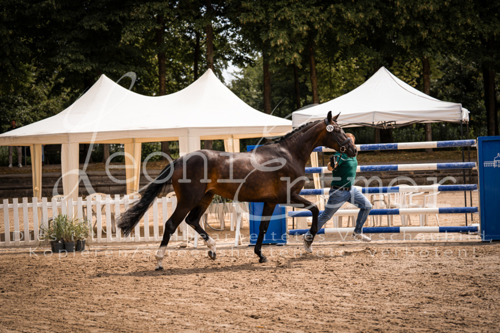 2. Fr00095 | Leoni Ertmer Photography - Realisiert mit Pictrs.com