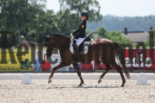Rot am See_2024_Prfg.Nr.21_Qual.BCH_und_LCH_5-jähr.Ponys_Matilda Buchbach_Dundees Quadriga (8) | Alle Fotos der Reiterjournal Fotografin Doris Matthaes im Reiterjournal Online-Fotoshop. - Realisiert mit Pictrs.com