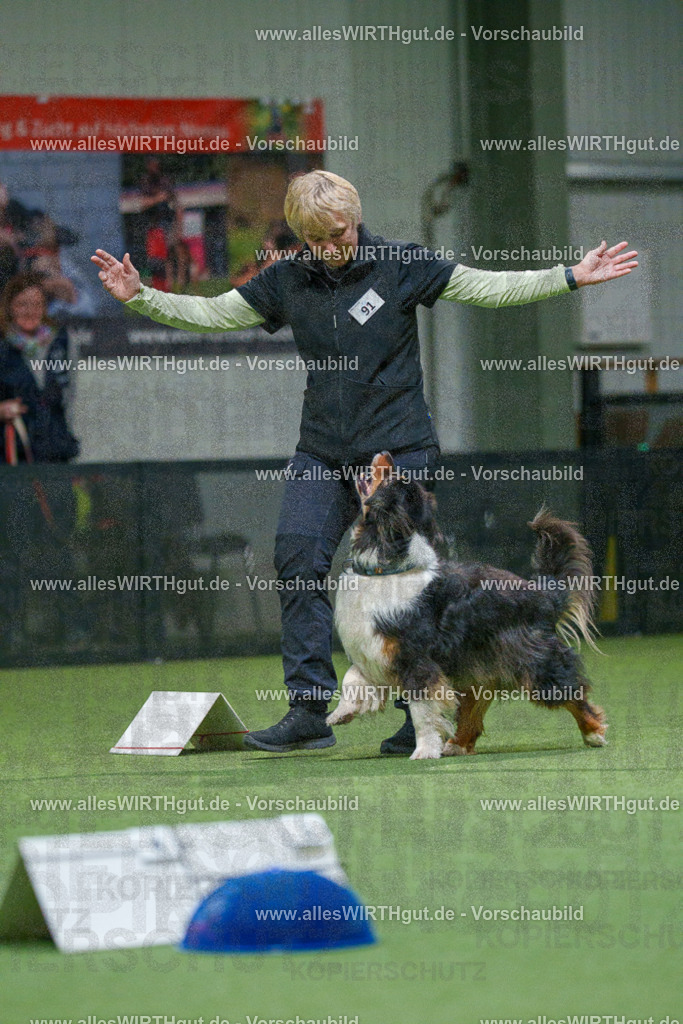 7R504267 | Professionelle Tierfotografie in Mönchengladbach von Daniel Wirth (allesWIRTHgut). Liebevolle & natürliche Bilder von Hunden & Katzen für unvergessliche Erinnerungen.