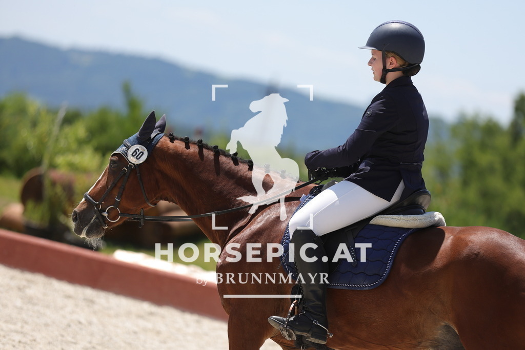 0P6A6350 | Willkommen bei Brunnmayr - Design & Fotografie – Ihrem Spezialisten für Reitturniere und Pferdeveranstaltungen in Oberösterreich, Salzburg und Bayern! Seit über 17 Jahren sind wir leidenschaftlich dabei.