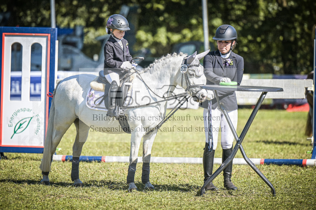 DOS_0288 | Entdecke hochwertige Reitturnierfotos von Foto Oger. Professionell, emotional und authentisch – jetzt Lieblingsmomente im Shop bestellen.Deutschlandweite Turnierfotografie. - Realisiert mit Pictrs.com