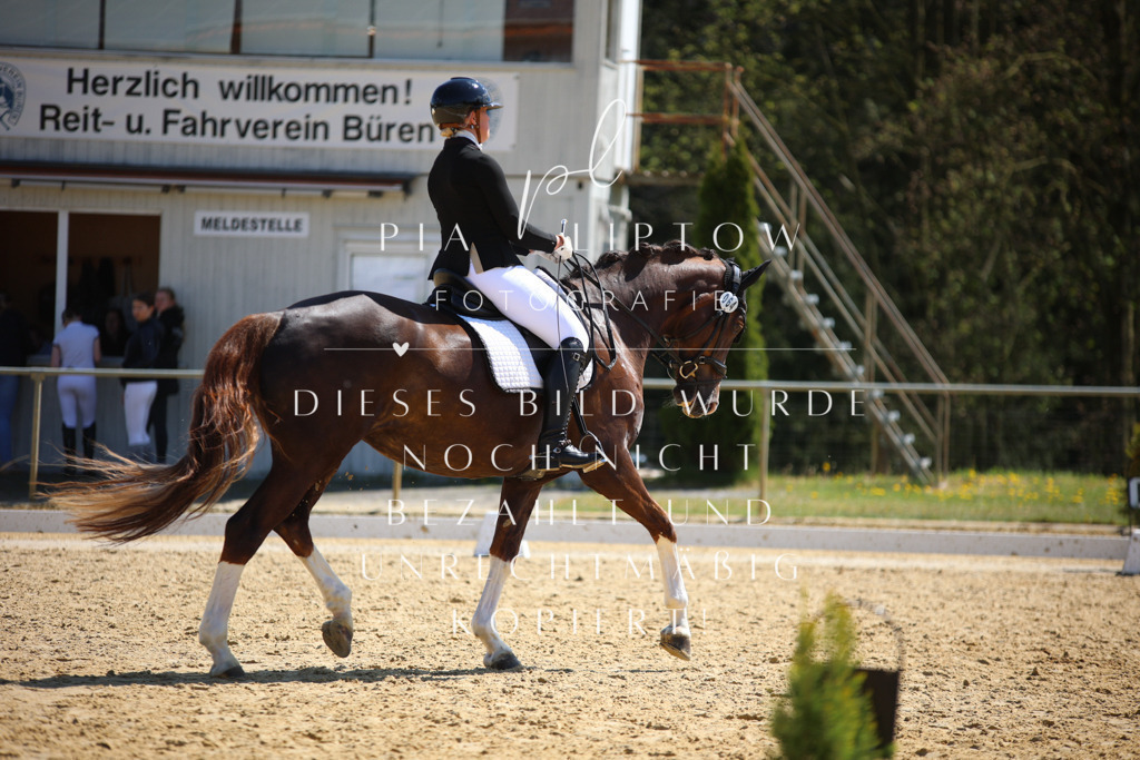 IMGT2562 | pl-fotografie