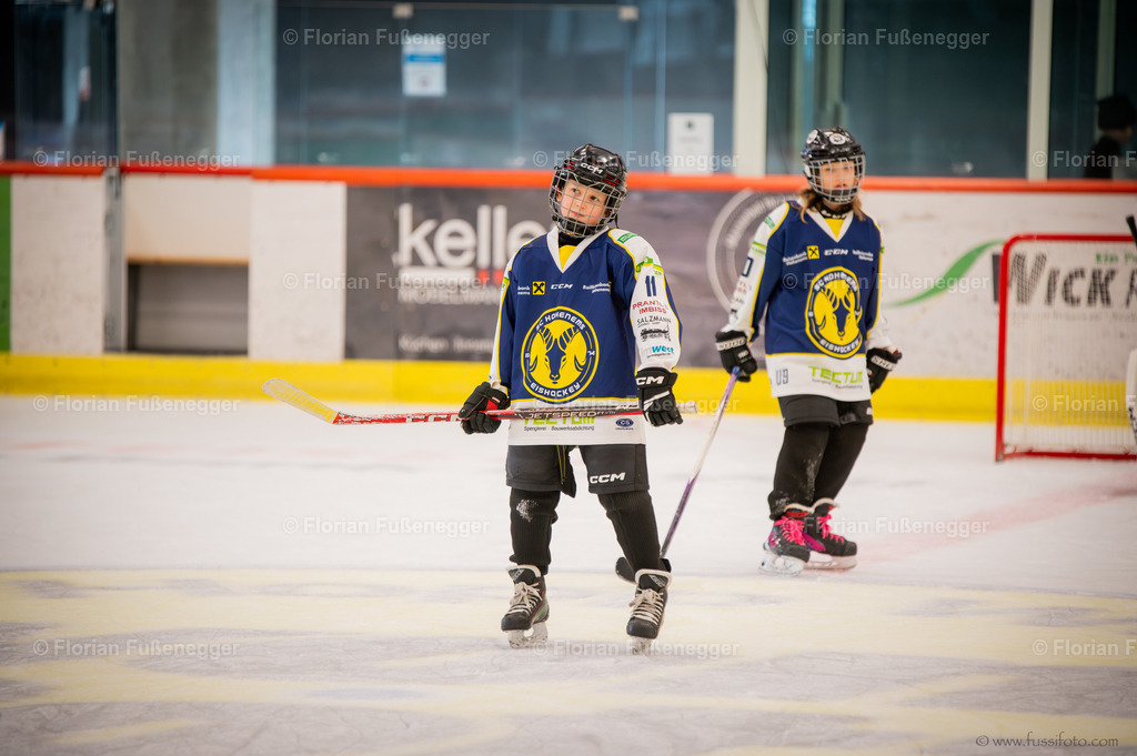 DSC_1460 | "Fussifoto.com – Ihr Ansprechpartner für hochwertige Fotografie! Entdecken Sie kreative Bilder und professionelle Dienstleistungen. Kontaktieren Sie uns für Ihre Projekte!"