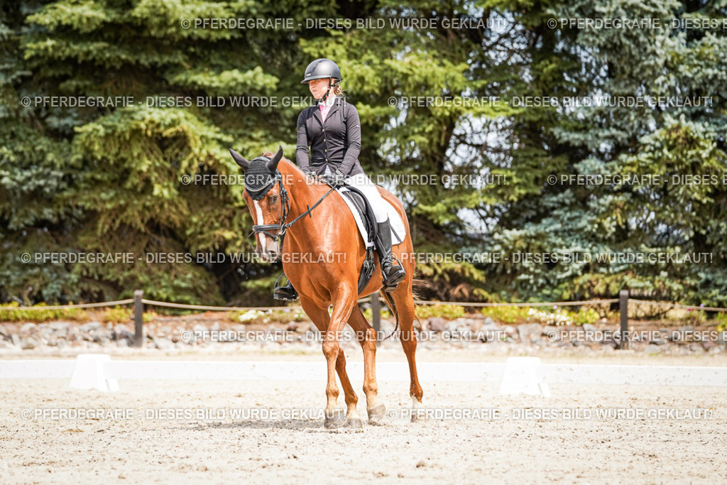 DSC03793 | Pferdegrafie