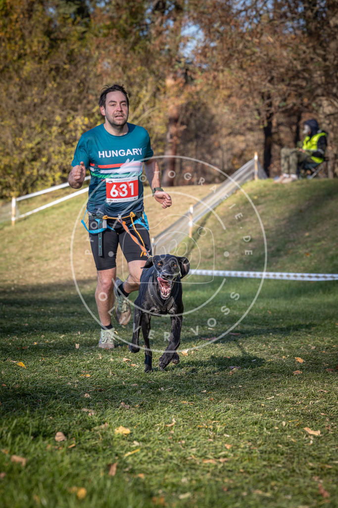 CaniXpix_0L8A8931 | Hundefotografie, Tierfotograf, Pfotenfotografie, Fotoshooting Hund, Hunde Portrait, Hundesport, Hundeportraits, Heideshooting, Hunde, Sportfotograf, Hundefotograf, Turnierhundsport, THS,  - Realisiert mit Pictrs.com