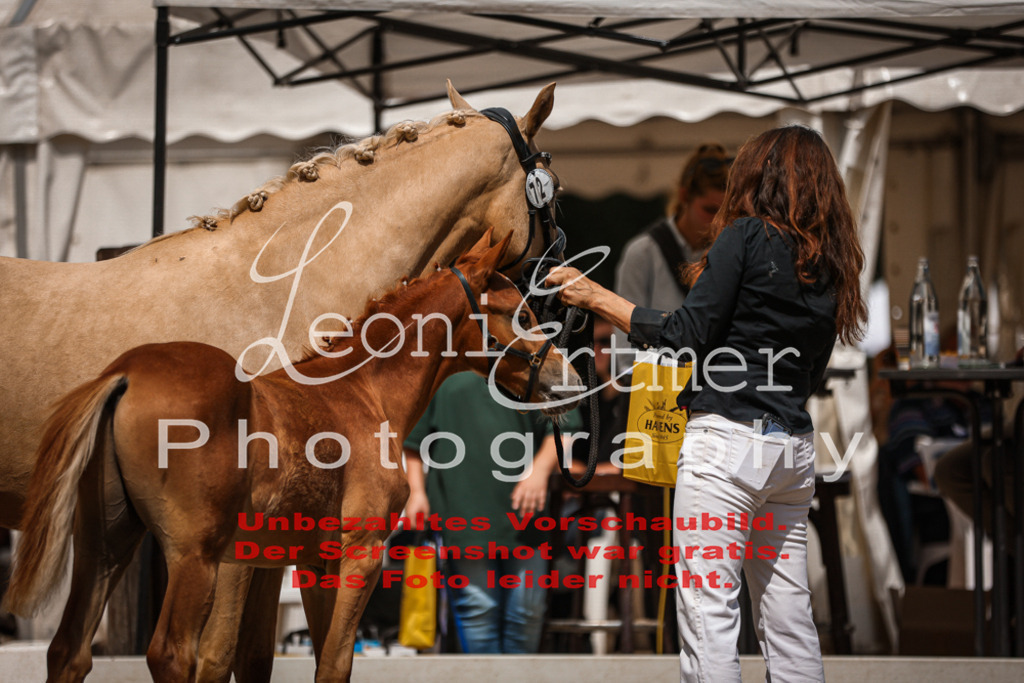 8.So00127 | Leoni Ertmer Photography - Realisiert mit Pictrs.com