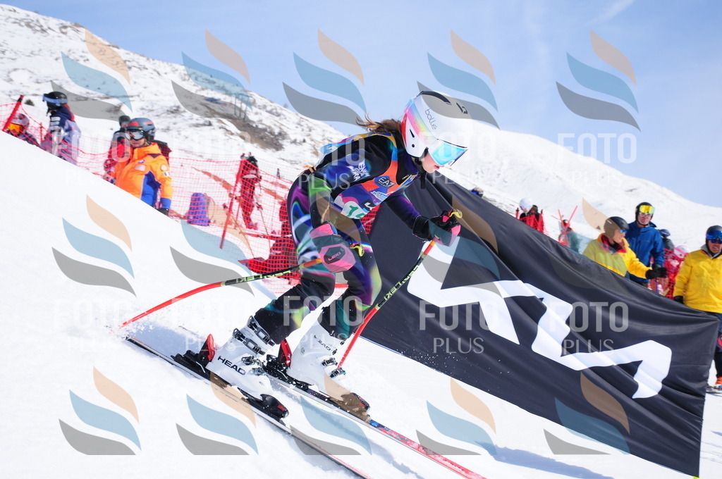 DSC_1344 | holidayphoto