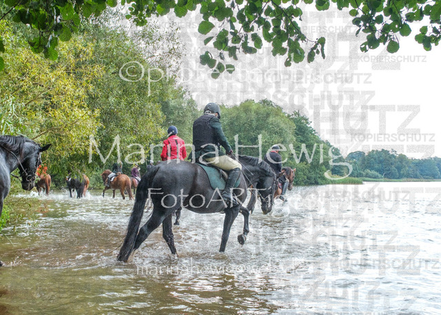 Jagd Perdoel_MarinaHewigDSCF3543 | Fotografie, FotoArt, PferdesportArt, Pferdesportfotografie, Landschaftsfotografie, Reisefotografie, Reise, Pferde - Realisiert mit Pictrs.com