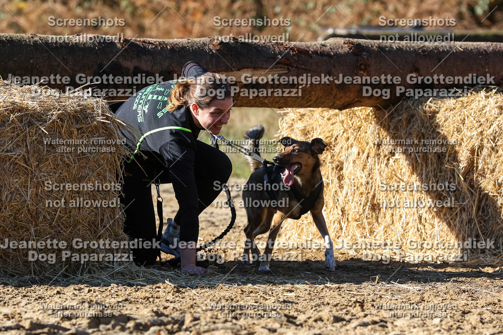Dog Paparazzi - Strongdog 10-25-2674 | Dog Paparazzi Jeanette Grottendiek Fotografie & Videografie - Realisiert mit Pictrs.com