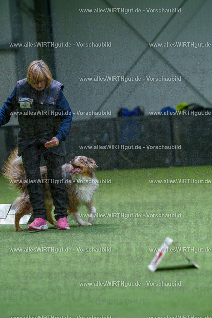 7R506391 | Professionelle Tierfotografie in Mönchengladbach von Daniel Wirth (allesWIRTHgut). Liebevolle & natürliche Bilder von Hunden & Katzen für unvergessliche Erinnerungen.