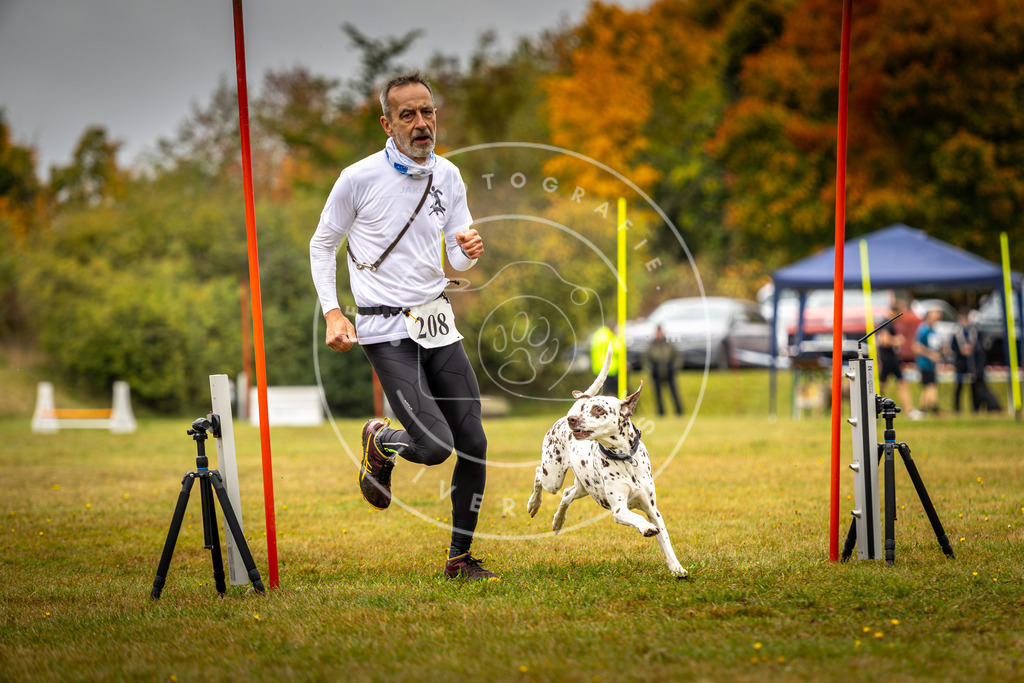 Pfotenfotografie_DV3A2256 | Hundefotografie, Tierfotograf, Pfotenfotografie, Fotoshooting Hund, Hunde Portrait, Hundesport, Hundeportraits, Heideshooting, Hunde, Sportfotograf, Hundefotograf, Turnierhundsport, THS,  - Realisiert mit Pictrs.com