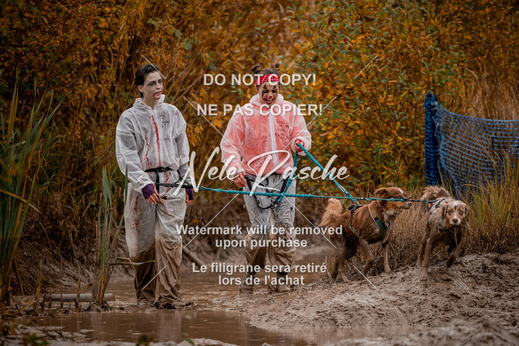 nelerasche_Creepy2025_Sa12-13_113 | nelerasche