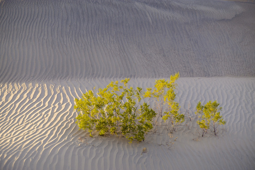 SilvanoPedrett_preview_Desert-5 | silvanopedrett - Realisiert mit Pictrs.com
