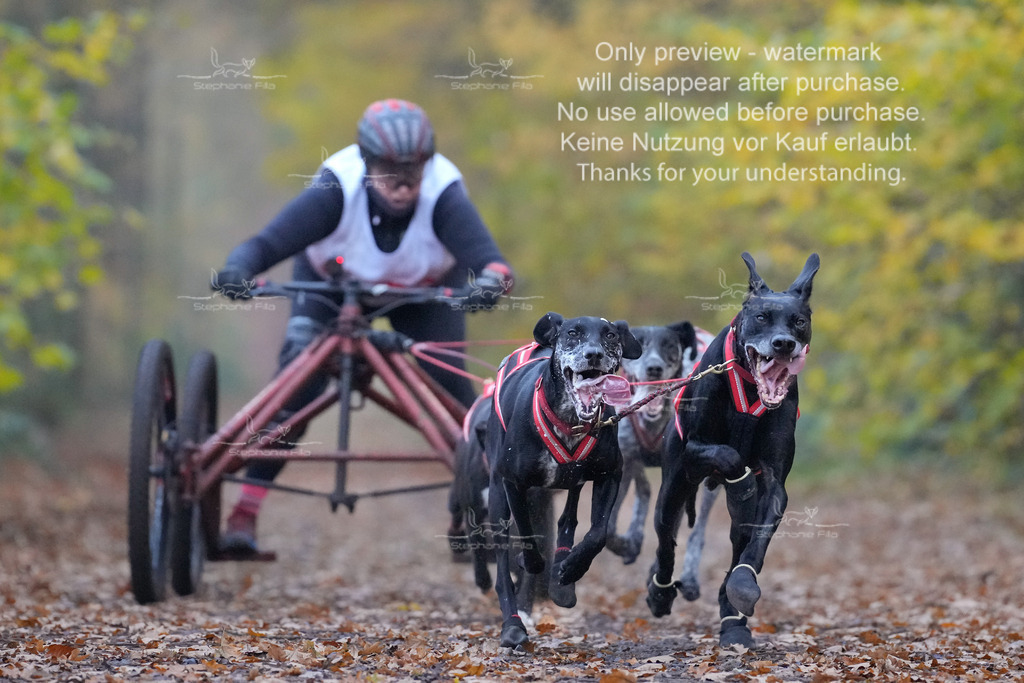 AusschnitteSo-2 | stephaniefillaphotographie - Realisiert mit Pictrs.com