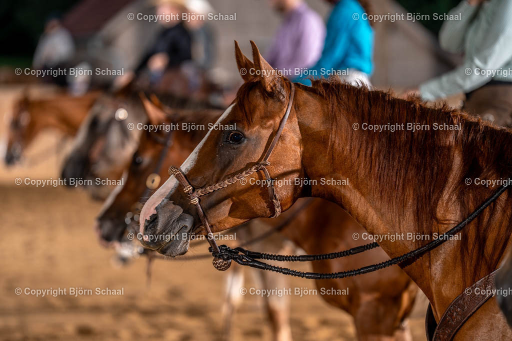LMS00775 | BS-foto