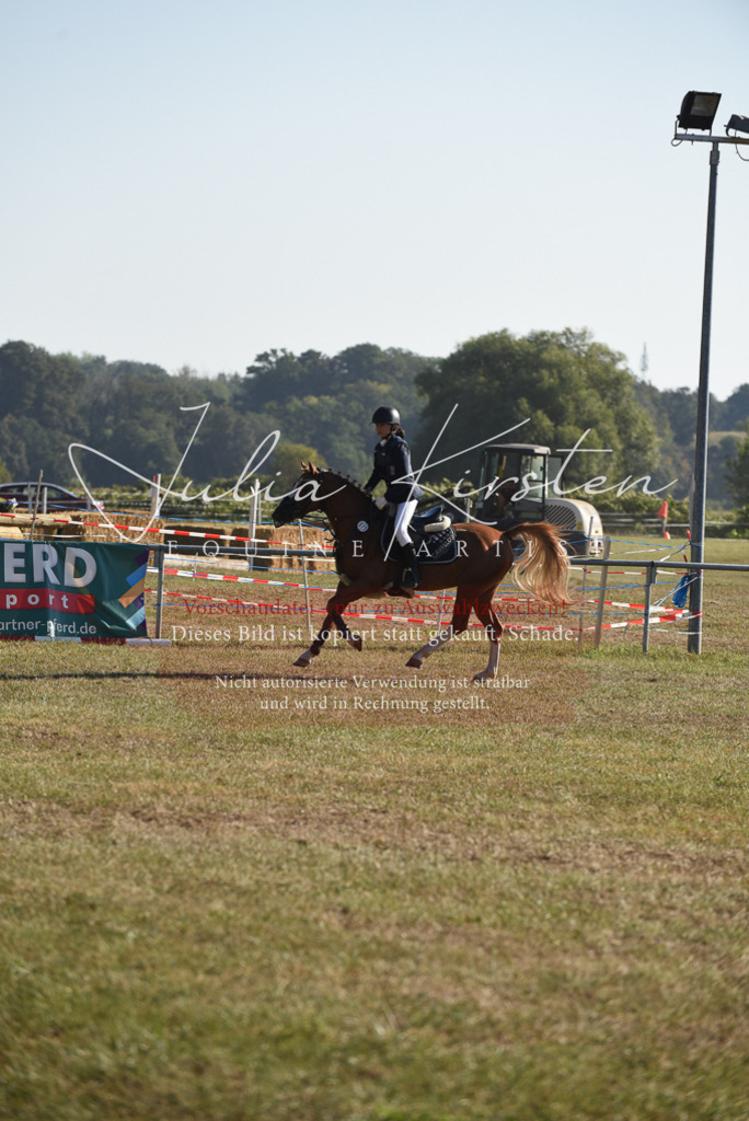 DSC_5650 | Pferde- und Turnierfotografie in Westsachsen. Pferdeportraits, Auftragszeichnungen und intuitive Kunst.