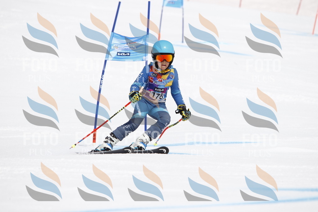 _U3G4610 | holidayphoto