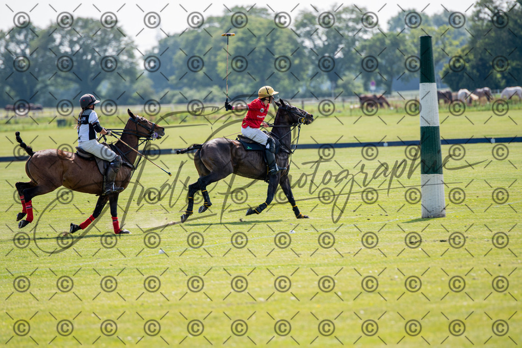 POL_2357 | andre_photographic