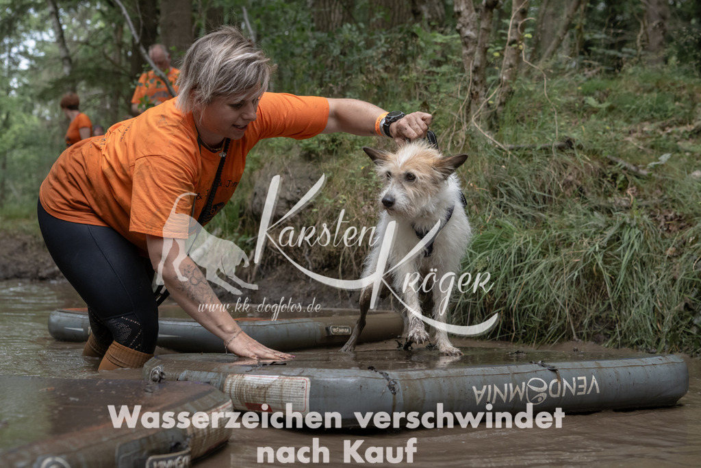 1343_ZZ95584 | kk-dogfotos