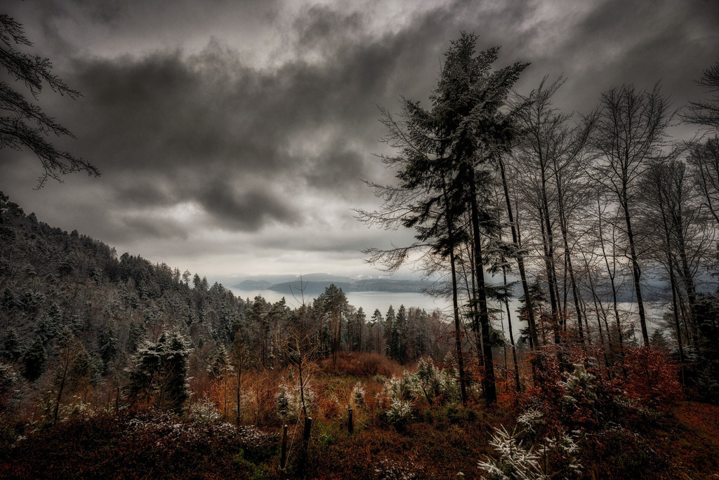 Angehauchte Landschaft | Abend, der Nebel verzieht sich und hinterlässt angehauchte Tannenspitzen. 
SPECIAL ist etwas wärmer, für die anderen Formate habe ich die Temperatur etwas kühler nachkorrigiert. 
-----------------------------------------------
Evening, the fog clears away and leaves tree tops with a touch of rime.
SPECIAL is a bit warmer, for the other formats I corrected the temperature to be a bit cooler.
-----------------------------------------------
Dieser Druck ist in einer limitierten Auflage von 5 Exemplaren erhältlich. 
This print is available in a limited edition of 5 copies. 
http://art.hess.photography/42-angehauchte-landschaft.html - Realisiert mit Pictrs.com