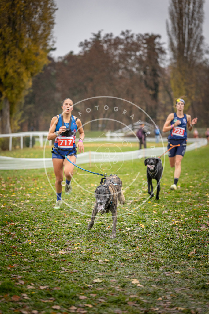 CaniXpix_DV3A9150 | Hundefotografie, Tierfotograf, Pfotenfotografie, Fotoshooting Hund, Hunde Portrait, Hundesport, Hundeportraits, Heideshooting, Hunde, Sportfotograf, Hundefotograf, Turnierhundsport, THS,  - Realisiert mit Pictrs.com