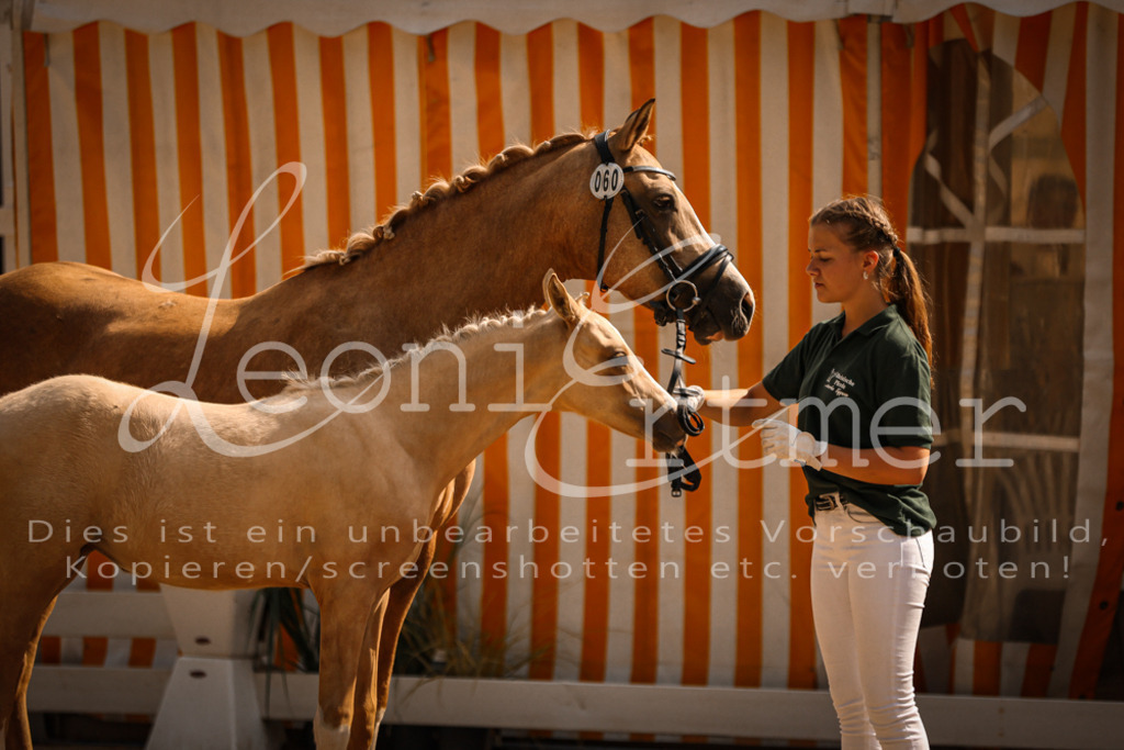 10.DoRP00123 | Leoni Ertmer Photography - Realisiert mit Pictrs.com