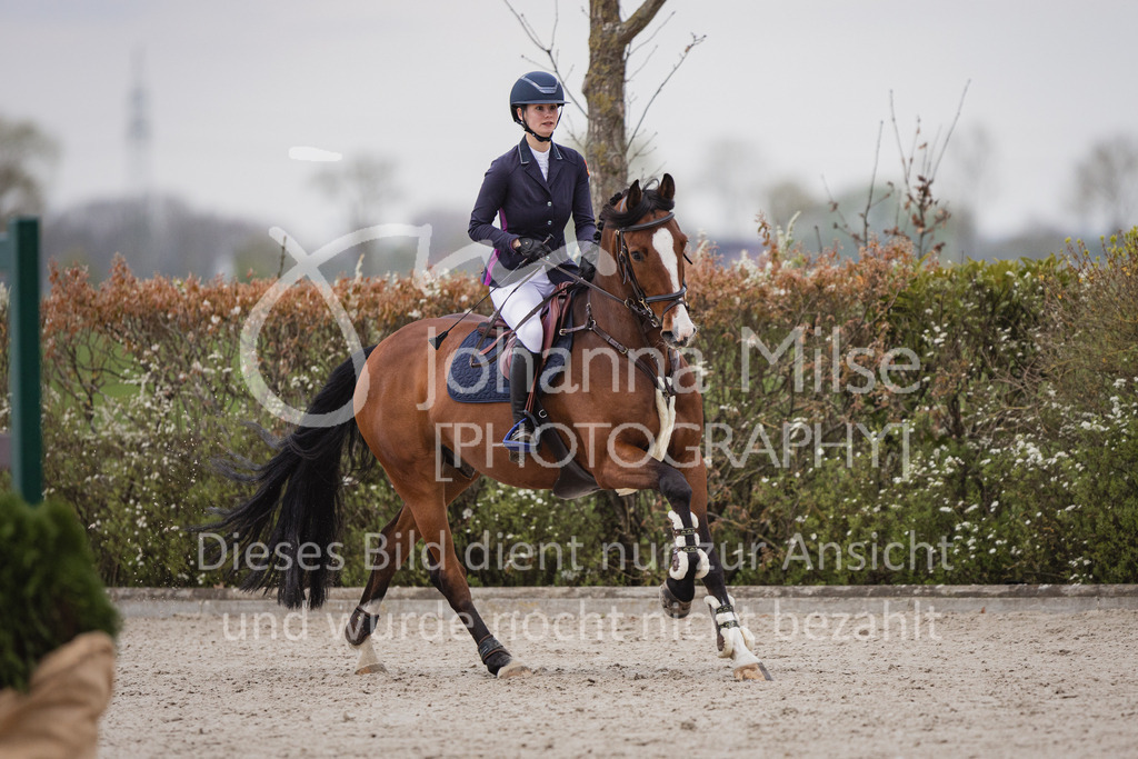 230426_HofSosath_Stil-M-670 | Deine schönsten Turniermomente als professionelle Fotos! Entdecke hochwertige Pferdesport-Fotografie im Online-Shop. Jetzt Fotos finden & bestellen!