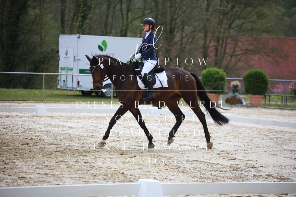 IMGT3000 | pl-fotografie