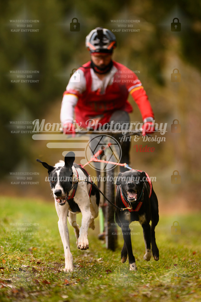 MompixPhotography_2SSTSSBW_2025_SO_Scooter-70 | PayLife