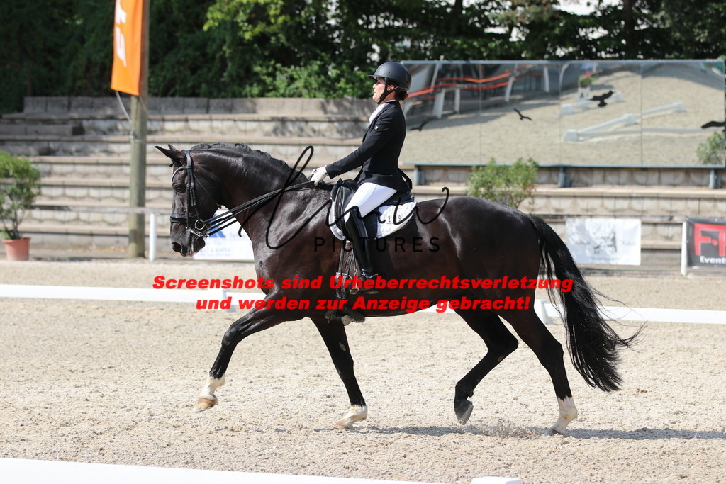 IMG_6905 | lmwpictures - Realisiert mit Pictrs.com