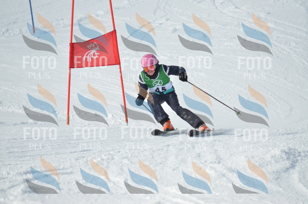 D8743 | holidayphoto