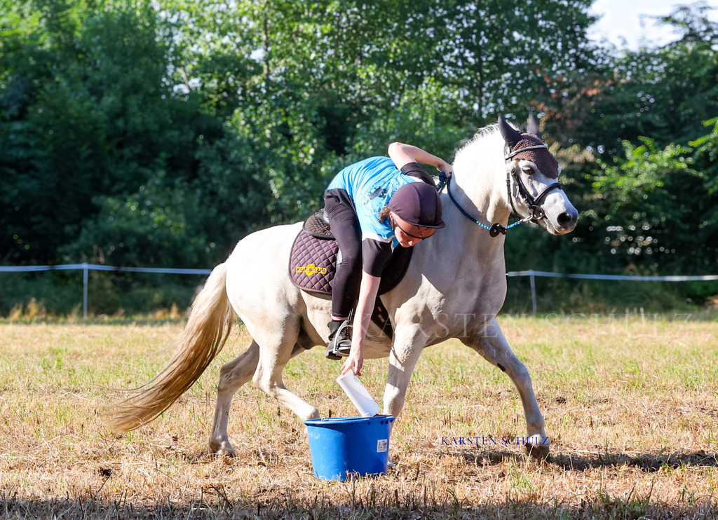 1B3A8558 | Reitsport Reiten