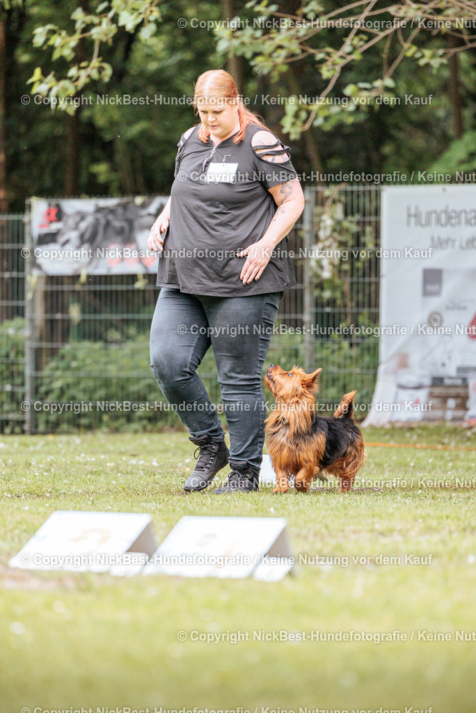 RO-Blumenthal-2026-Nickbest-Hundefotografie-2151 | Dein Hund! Dein Moment! Deine Erinnerungen! Hundefotografie in Bremen Blumenthal. Ich fange die besonderen Momente deines Vierbeiners ein – ob Indoor mit Blitzanlage oder in der freien Natur. Sicher dir dein Moment und dein Termin für eure Erinnerungen.