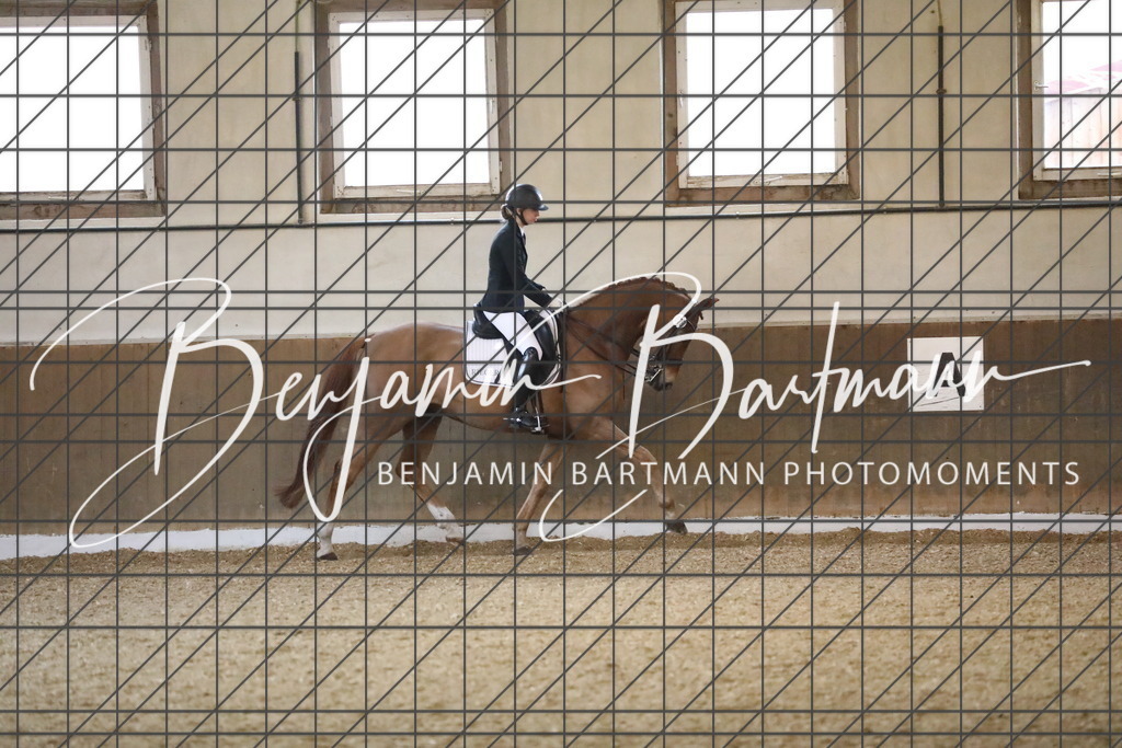 AZ2A2008 | Benjamin Bartmann Photomoments