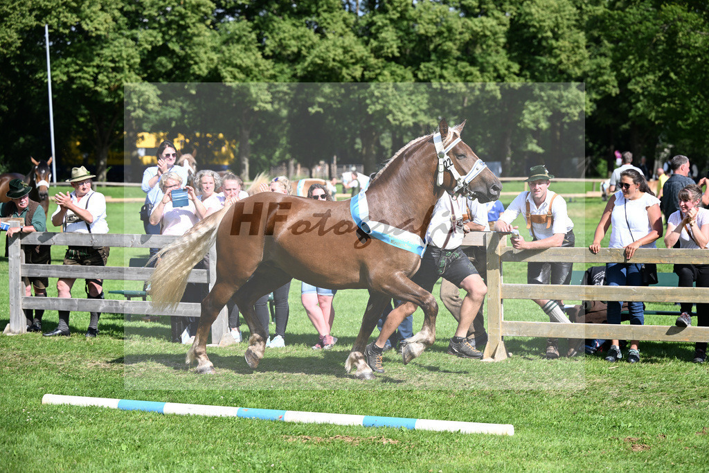 Kat-Nr. 22 Poetin v. Sir_Kotz_22241728 | hf-fotografie - Realizzato con Pictrs.com