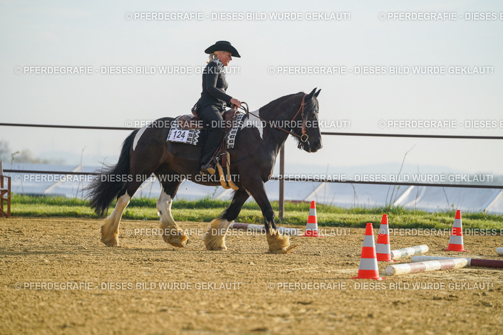 DSC09927 | Pferdegrafie