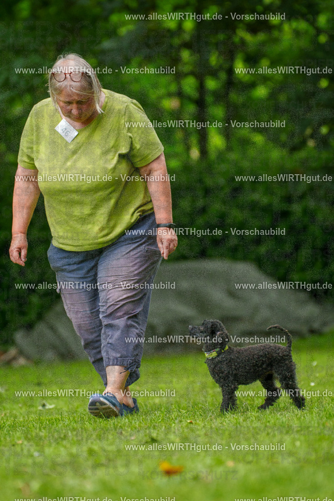 @allesWIRTHgut_Tierfotografie - www.allesWIRTHgut.de - 7R500340 | Professionelle Tierfotografie in Mönchengladbach von Daniel Wirth (allesWIRTHgut). Liebevolle & natürliche Bilder von Hunden & Katzen für unvergessliche Erinnerungen.