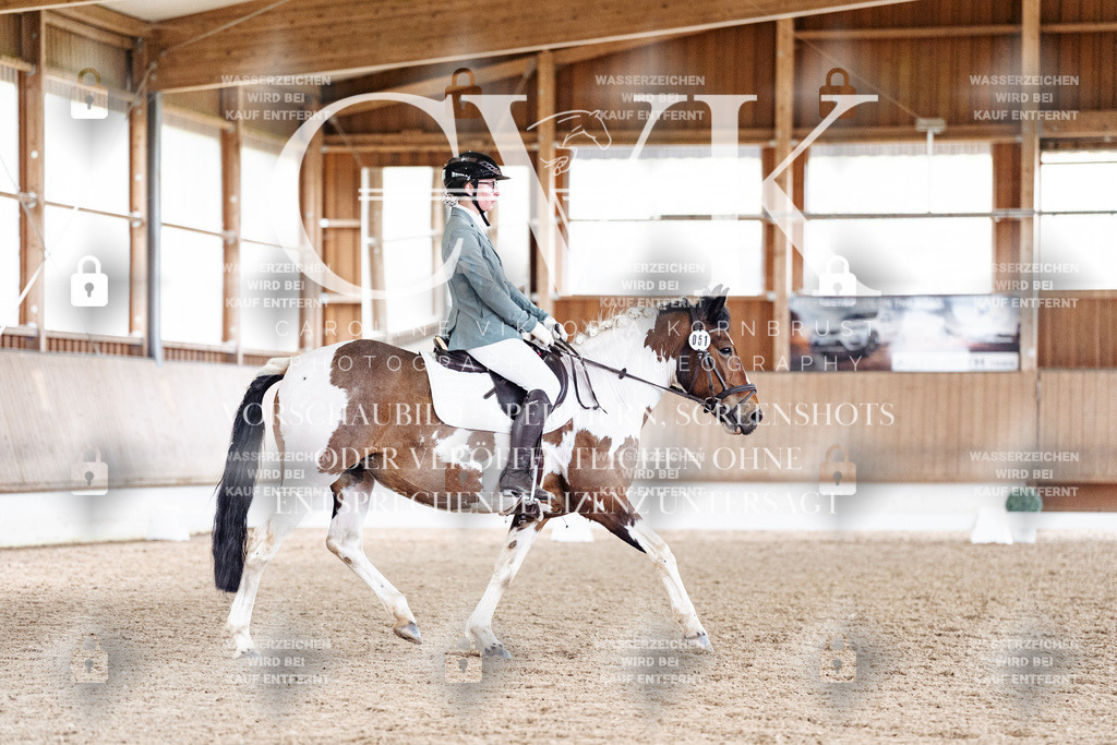 CK901042 | Turnierfotografie Pferdefotografie Trier Rheinland-Pfalz Pferdesport Reitsport Tierfotografie Sportfotografie Pferdevideo Pferdevideografie Equestrianvideography equestrianphotography  - Realisiert mit Pictrs.com