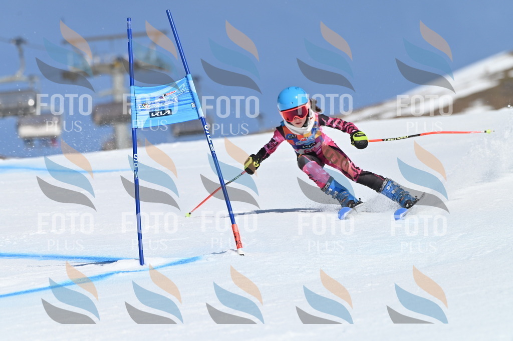 BGV_8868 | holidayphoto