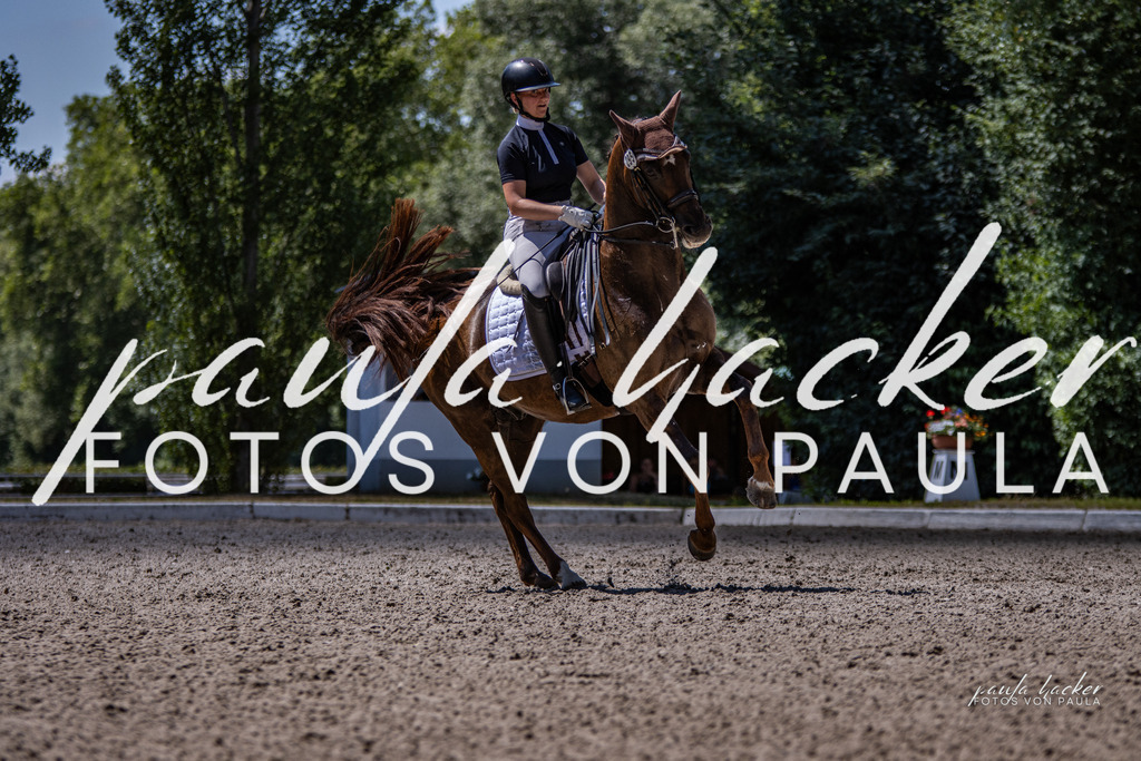 IMG_8448 | Erleben Sie dynamische Sport- und emotionale Tierfotografie in Süddeutschland mit Fotos von Paula. Spezialisiert auf Pferde- und Hundefotografie sowie Sportevents. Kontaktieren Sie mich für einzigartige und ausdrucksstarke Bilder Ihrer besonderen Momente.